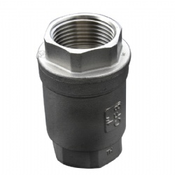 H12 type Stainless Steel Thread mini Check Valve